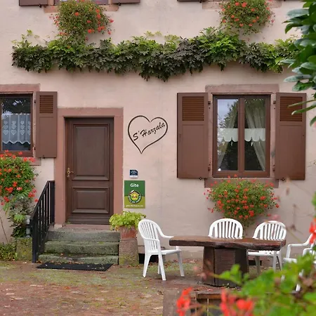 S'harzala Rouge Apartment Bergheim