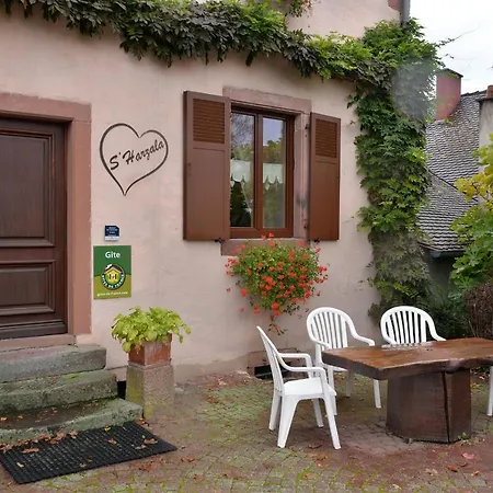 Apartment S'harzala Rouge *