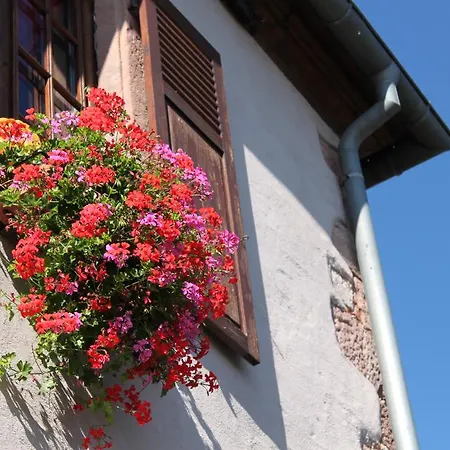 S'harzala Rouge Bergheim