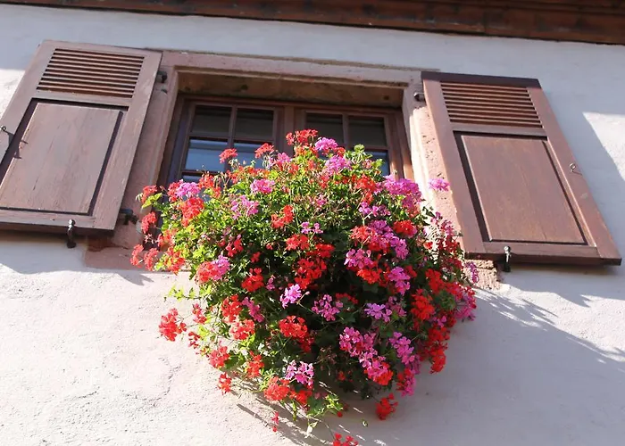 S'harzala Rouge Bergheim